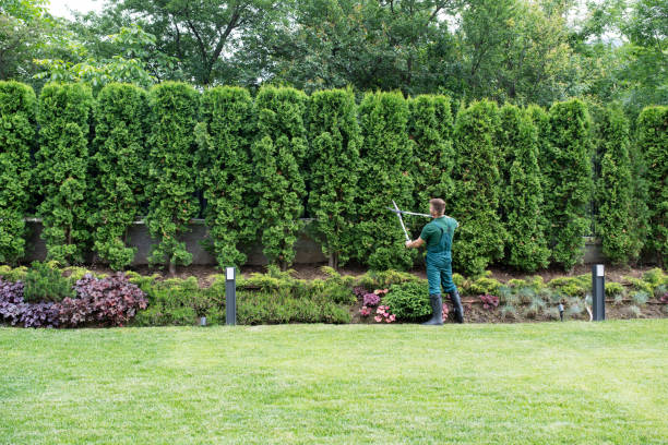 Best Lawn Pest Prevention  in Duncannon, PA